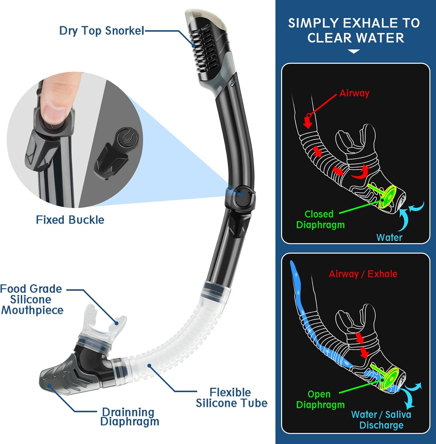 ZEEPORTE Mask Fin Snorkel Set, Travel Size Snorkeling Gear for Adults with Panoramic View Anti-Fog Mask, Trek Fins, Dry Top Snorkel and Gear Bag for Swimming Training, Snorkeling Kit Diving Packages - Image 4