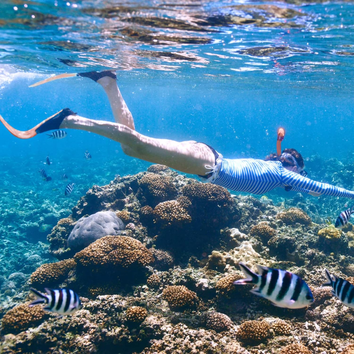 Kids Snorkeling Set Children Mask Fin Snorkel Set Snorkeling Gear Snorkel Mask + Adjustable Swimming Kids Flippers+ Dry Snorkel Tube + Travel Bags - Image 6