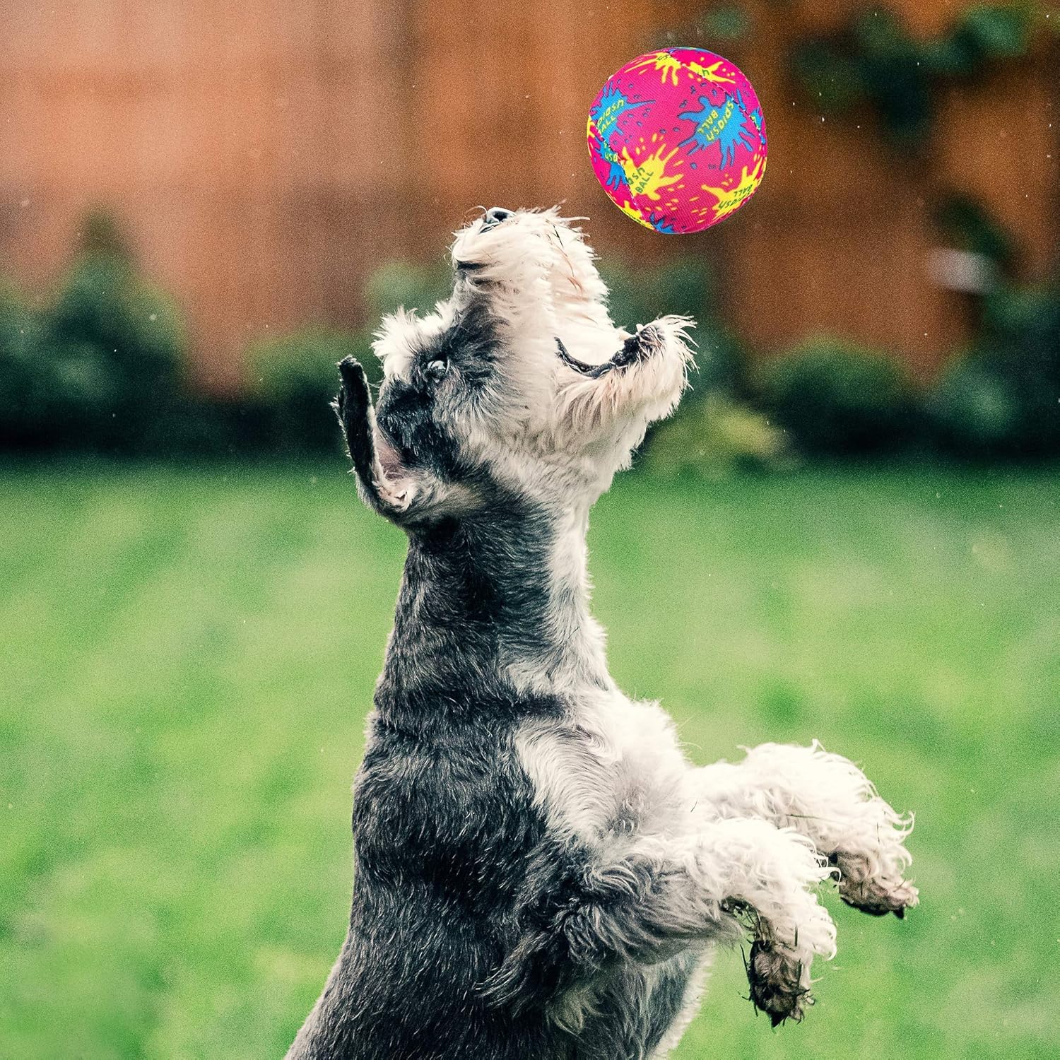 Super Z Outlet Water Splash Balls for Pool, Summer Beach Soaking Games and Fun Children Party Activities (12 Pack) - Image 4